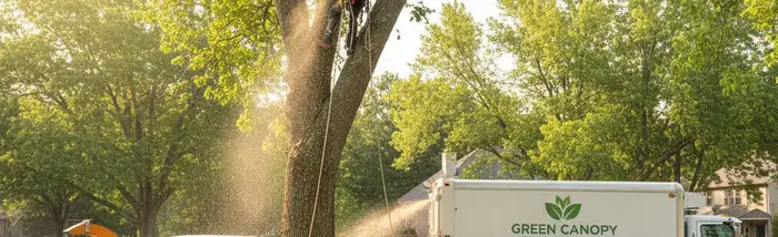 Chicago tree service team providing professional tree removal and care in Chicago, IL